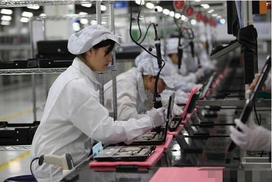 電子廠苦中作樂秘籍 上班養(yǎng)貓，快樂似神仙？